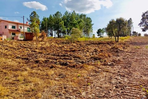 Helårsgrund i Tomar, Santarem, Tomar - € 18.000 | Ref: VCP064/23 - foto 5