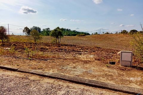Helårsgrund i Tomar, Santarem, Tomar - € 18.000 | Ref: VCP064/23 - foto 7