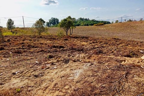 Helårsgrund i Tomar, Santarem, Tomar - € 18.000 | Ref: VCP064/23 - foto 9