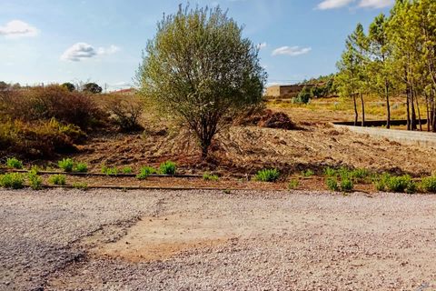 Helårsgrund i Tomar, Santarem, Tomar - € 18.000 | Ref: VCP064/23 - foto 11