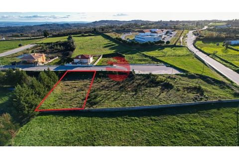 Terra a Meda, Guarda, Meda - € 42.000 | Ref: 387/MDA - foto 3