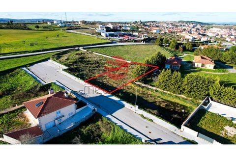 Terra a Meda, Guarda, Meda - € 42.000 | Ref: 387/MDA - foto 4