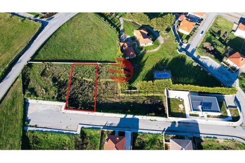 Terra a Meda, Guarda, Meda - € 40.000 | Ref: 386/MDA - foto 2