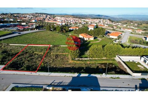 Terra a Meda, Guarda, Meda - € 40.000 | Ref: 386/MDA - foto 3