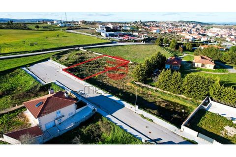 Terra a Meda, Guarda, Meda - € 40.000 | Ref: 386/MDA - foto 4