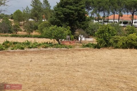 Farm i Coruche, Santarem, Coruche - € 280.000 | Ref: TPH001-260 - foto 2