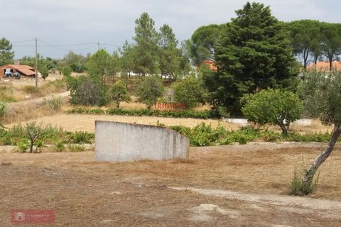 Farm i Coruche, Santarem, Coruche - € 280.000 | Ref: TPH001-260 - foto 3