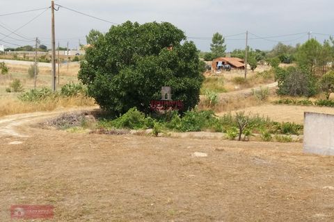 Farm i Coruche, Santarem, Coruche - € 280.000 | Ref: TPH001-260 - foto 5
