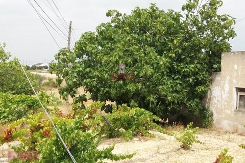 Farm i Coruche, Santarem, Coruche - € 280.000 | Ref: TPH001-260 - foto 6