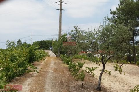 Farm i Coruche, Santarem, Coruche - € 280.000 | Ref: TPH001-260 - foto 7