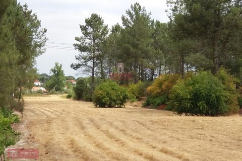 Farm i Coruche, Santarem, Coruche - € 280.000 | Ref: TPH001-260 - foto 8