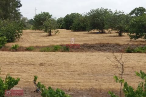 Farm i Coruche, Santarem, Coruche - € 280.000 | Ref: TPH001-260 - foto 9