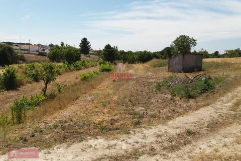 Farm i Coruche, Santarem, Coruche - € 280.000 | Ref: TPH001-260 - foto 11