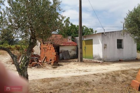 Farm i Coruche, Santarem, Coruche - € 280.000 | Ref: TPH001-260 - foto 12