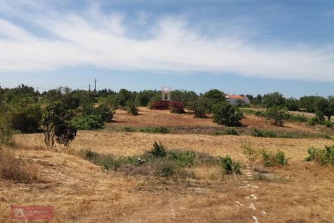 Farm i Coruche, Santarem, Coruche - € 280.000 | Ref: TPH001-260 - foto 13