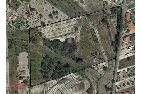 Farm i Coruche, Santarem, Coruche - € 280.000 | Ref: TPH001-260 - foto 14