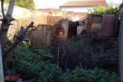 Villa en Abrantes, Santarem, Abrantes - € 76.150 | Ref: TPH228-09 - photo 13