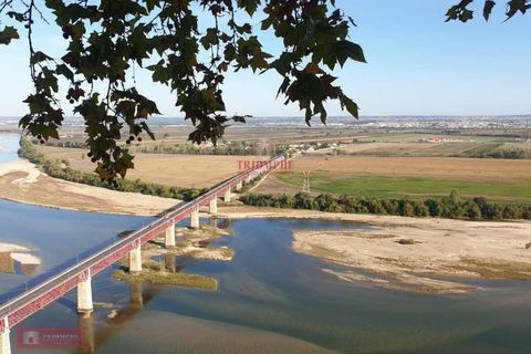 Villa en Abrantes, Santarem, Abrantes - € 76.150 | Ref: TPH228-09 - photo 14