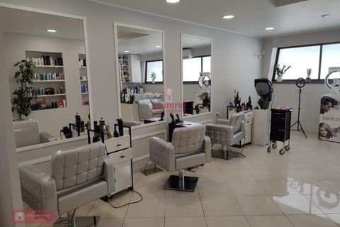 Erhvervsejendom i Fatima, Santarem, Fatima - € 78.000 | Ref: TPH226-05 - foto 1