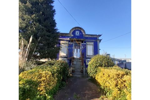Terra a Moreira, Porto, Moreira - € 1.800.000 | Ref: 5670/23 - foto 2
