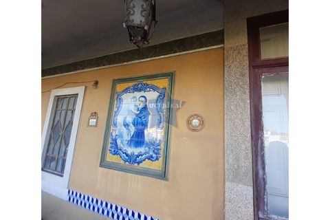 Terra a Moreira, Porto, Moreira - € 1.800.000 | Ref: 5670/23 - foto 5