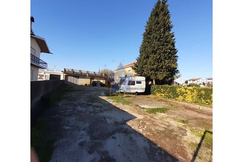 Terra a Moreira, Porto, Moreira - € 1.800.000 | Ref: 5670/23 - foto 6