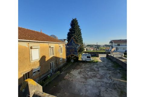 Terra a Moreira, Porto, Moreira - € 1.800.000 | Ref: 5670/23 - foto 7