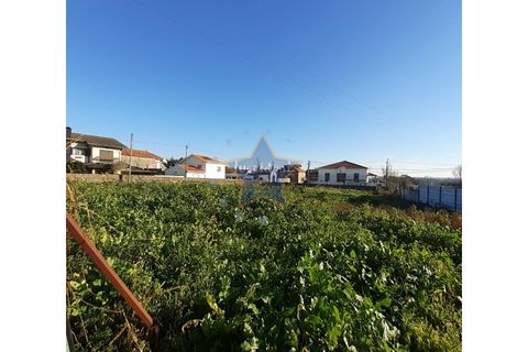 Terra a Moreira, Porto, Moreira - € 1.800.000 | Ref: 5670/23 - foto 8