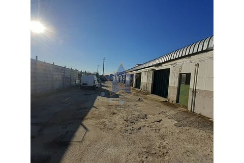 Terra a Moreira, Porto, Moreira - € 1.800.000 | Ref: 5670/23 - foto 10