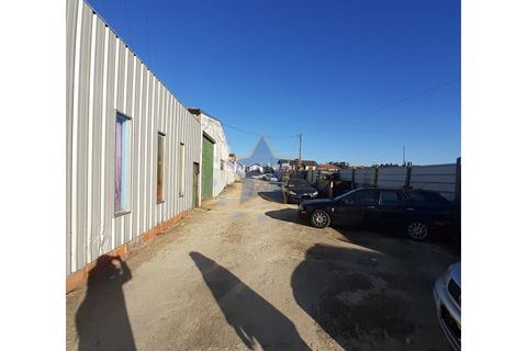 Terra a Moreira, Porto, Moreira - € 1.800.000 | Ref: 5670/23 - foto 11