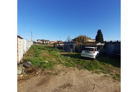 Terra a Moreira, Porto, Moreira - € 1.800.000 | Ref: 5670/23 - foto 12