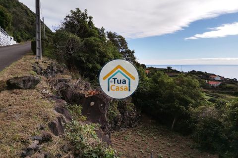Terra a Calheta, Sao Jorge, Calheta - € 45.000 | Ref: TC2358 - foto 4