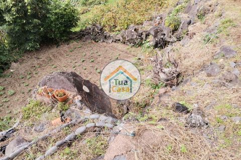 Terra a Calheta, Sao Jorge, Calheta - € 45.000 | Ref: TC2358 - foto 6