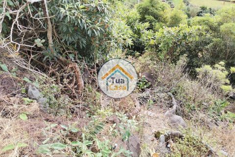 Terra a Calheta, Sao Jorge, Calheta - € 45.000 | Ref: TC2358 - foto 8