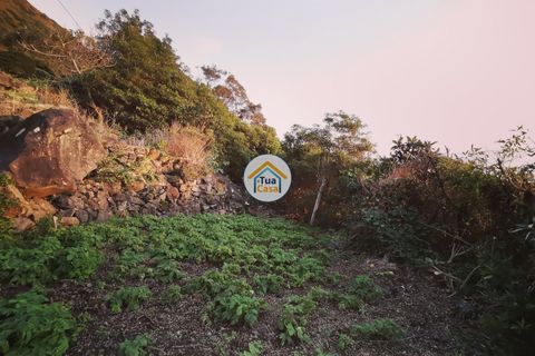 Terra a Calheta, Sao Jorge, Calheta - € 45.000 | Ref: TC2358 - foto 9