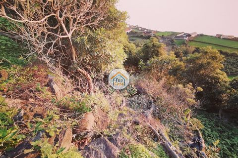 Terra a Calheta, Sao Jorge, Calheta - € 45.000 | Ref: TC2358 - foto 10