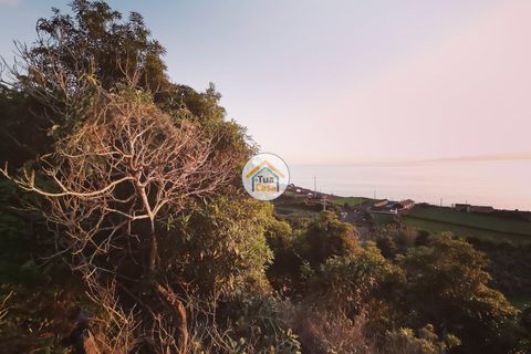 Terra a Calheta, Sao Jorge, Calheta - € 45.000 | Ref: TC2358 - foto 11