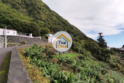 Terra a Calheta, Sao Jorge, Calheta - € 45.000 | Ref: TC2358 - foto 13