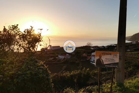 Terra a Calheta, Sao Jorge, Calheta - € 45.000 | Ref: TC2358 - foto 14