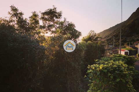 Terra a Calheta, Sao Jorge, Calheta - € 45.000 | Ref: TC2358 - foto 20