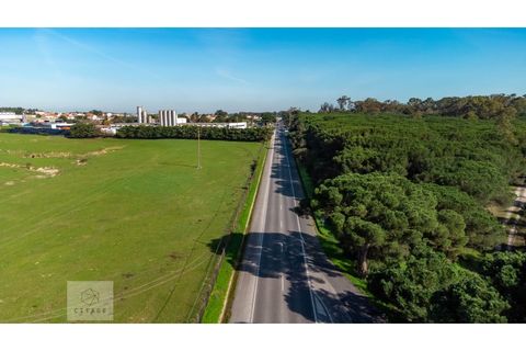 Erhvervsejendom i Azambuja, Lisbon, Azambuja - € 6.000.000 | Ref: Citage 118/23 - foto 3
