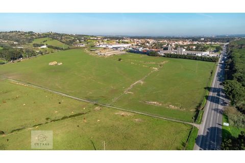 Erhvervsejendom i Azambuja, Lisbon, Azambuja - € 6.000.000 | Ref: Citage 118/23 - foto 2