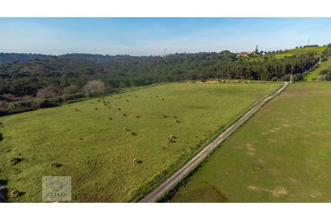 Erhvervsejendom i Azambuja, Lisbon, Azambuja - € 6.000.000 | Ref: Citage 118/23 - foto 7