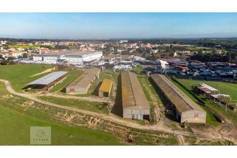 Erhvervsejendom i Azambuja, Lisbon, Azambuja - € 6.000.000 | Ref: Citage 118/23 - foto 10