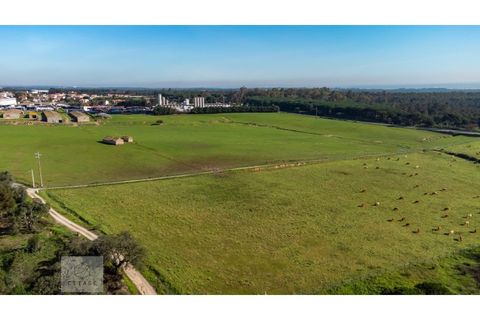 Erhvervsejendom i Azambuja, Lisbon, Azambuja - € 6.000.000 | Ref: Citage 118/23 - foto 11