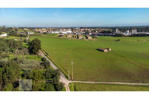 Erhvervsejendom i Azambuja, Lisbon, Azambuja - € 6.000.000 | Ref: Citage 118/23 - foto 12