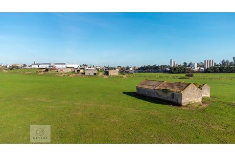 Erhvervsejendom i Azambuja, Lisbon, Azambuja - € 6.000.000 | Ref: Citage 118/23 - foto 13