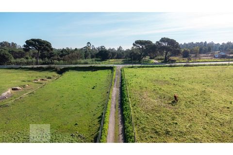 Erhvervsejendom i Azambuja, Lisbon, Azambuja - € 6.000.000 | Ref: Citage 118/23 - foto 15