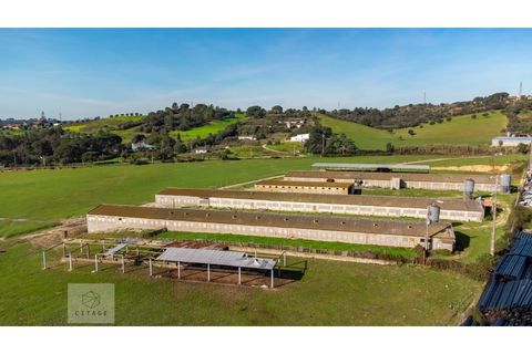 Erhvervsejendom i Azambuja, Lisbon, Azambuja - € 6.000.000 | Ref: Citage 118/23 - foto 19