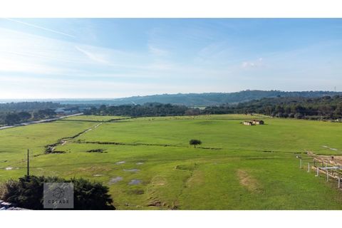 Erhvervsejendom i Azambuja, Lisbon, Azambuja - € 6.000.000 | Ref: Citage 118/23 - foto 20